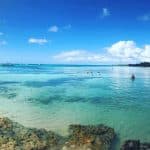 Saona Island Tour from Bayahibe – Natural Pool Excursion - Dominican Republic