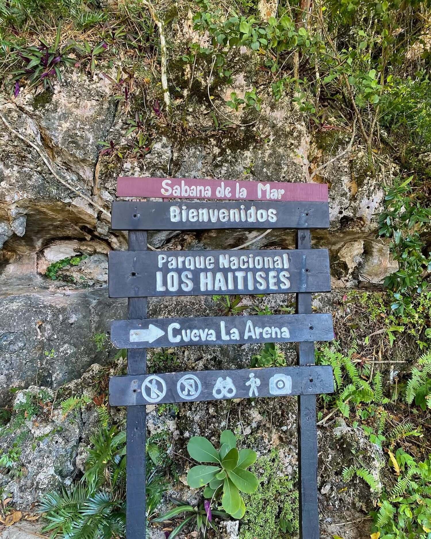 Los Haitises Half-Day Boat Tour from Punta Cana - Photo 1 of 7