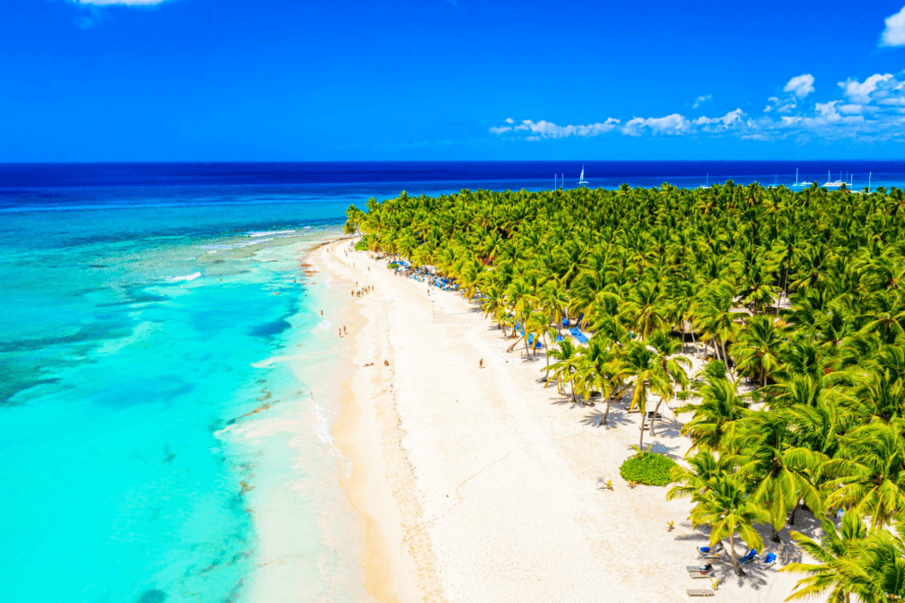 How to Get to Saona Island: Transportation and Boat Options
