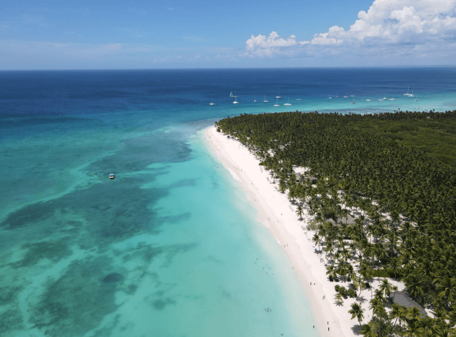 Saona Island vs. Catalina Island: Which Should You Visit?