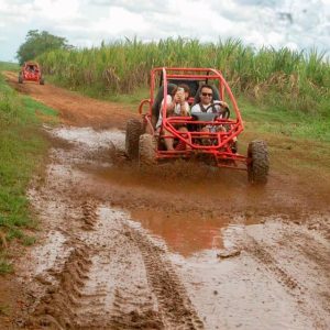 Tour, Excursión,