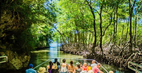 Tour, Excursión,