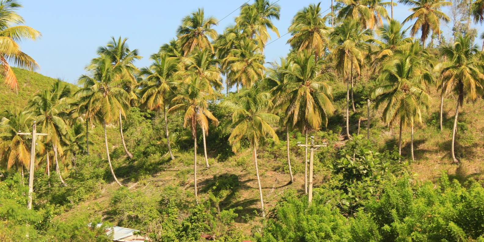 atv tour las terrenas