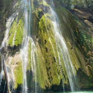 Tour, Excursión,