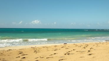 Complete Samaná Tour: Jackson Beach – Hiking, River Ride, and Snorkeling from La Majagua