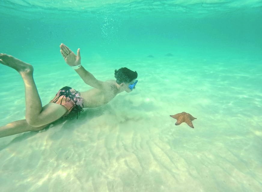 145-4-104.jpg 145 4 104