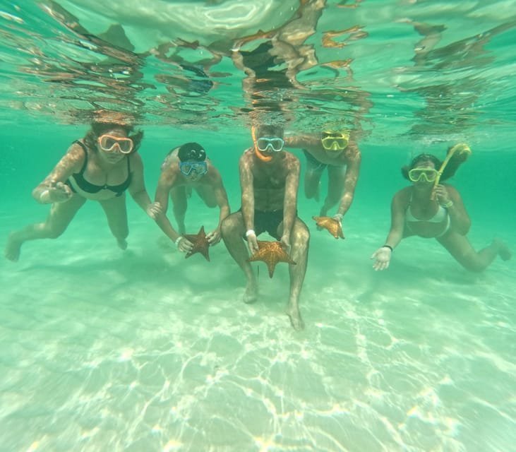 145-6-78.jpg 145 6 78